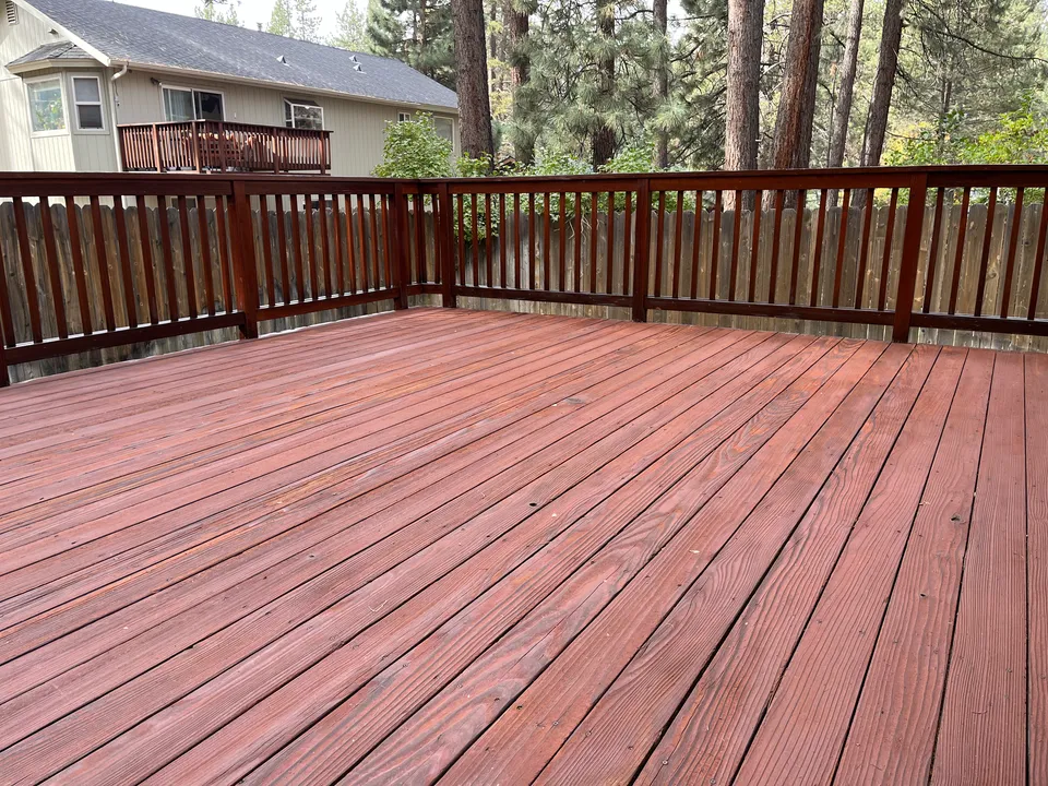 Freshly stained wood deck and railing surrounded by tall pine trees.