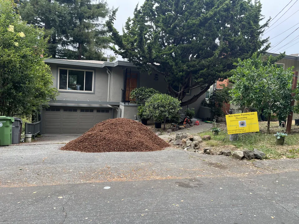 Single-story hillside ranch house after a complete exterior repaint.