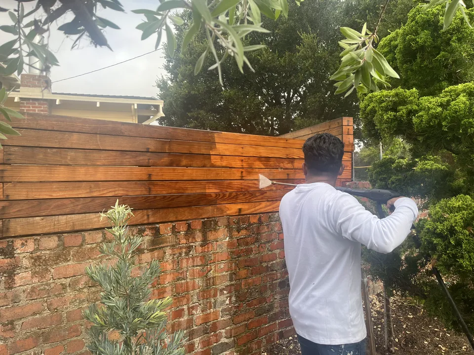 Two painters staining a wooden backyard fence on a sunny day.